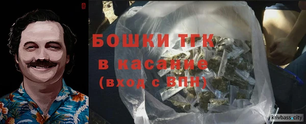 ALPHA PVP Горнозаводск
