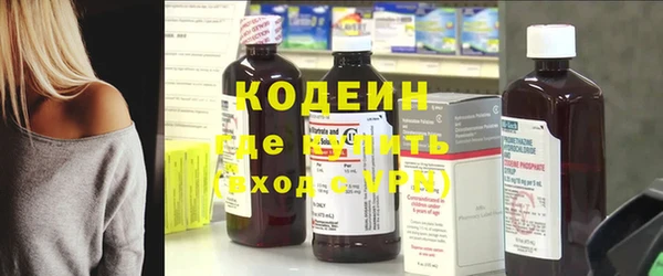 дурь Вяземский