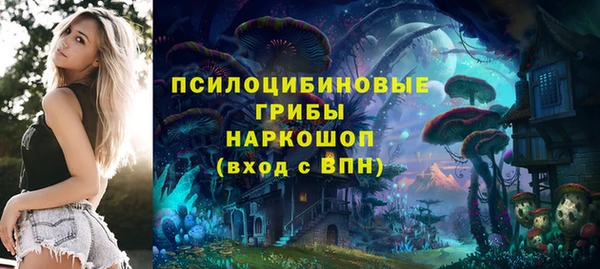 дурь Вяземский