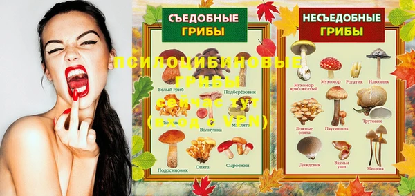 2c-b Горно-Алтайск