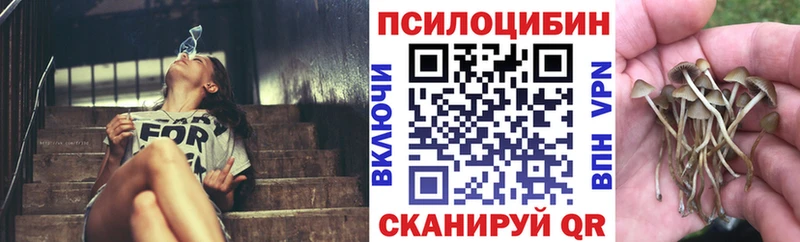 дарк нет как зайти  Новосибирск  Галлюциногенные грибы мицелий  закладки 